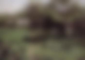 In the green, Unterkritzendorf (preview)