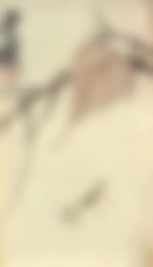 Dragonfly. Praying mantis (preview)