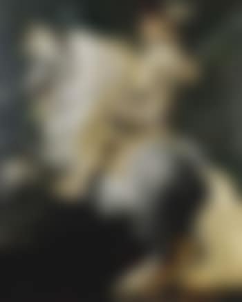 Portrait of a rider on a white horse (preview)
