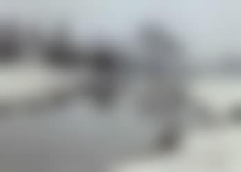 Winter on the banks of the Rhine (preview)