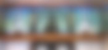 Panneau mural pour Muse (preview)