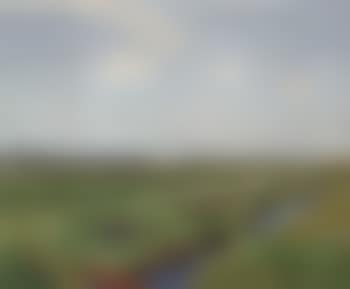 Summer on the banks of the Rhine (preview)