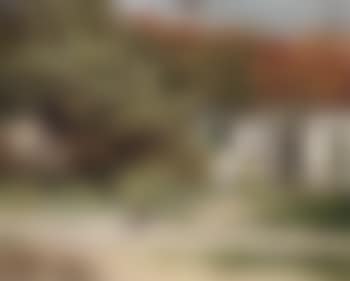 Houses in sunshine with hens in foreground (preview)