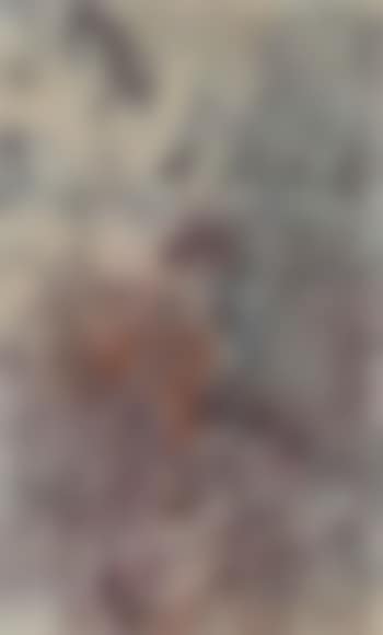 Untitled composition (preview)