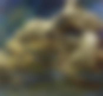 Clouds-Tortola (preview)