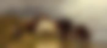 Cattleherd with cows at a lakeside (preview)