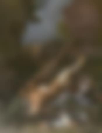 Still life of a rabbit, a duck, a dove and other game (preview)