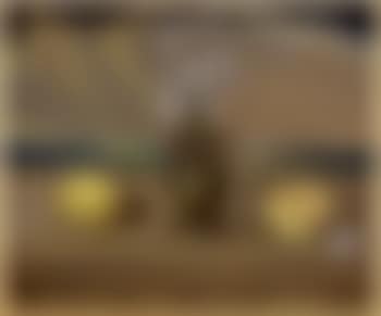 Still life with lilies (preview)