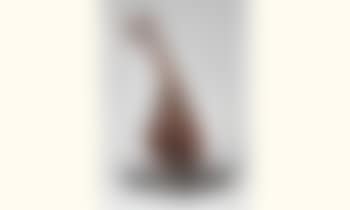 Pulcinella (preview)