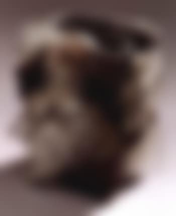 Compression (preview)