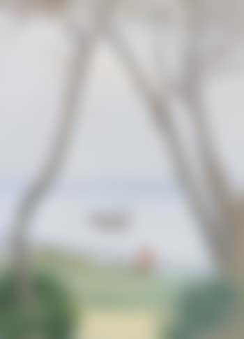 Maternal eye (preview)