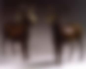 Les deux mouflons (preview)