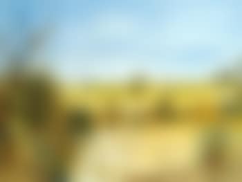Grass trees (preview)