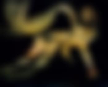 Leda and the swan (preview)