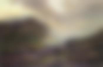 Highland cattle amongst the heather (preview)