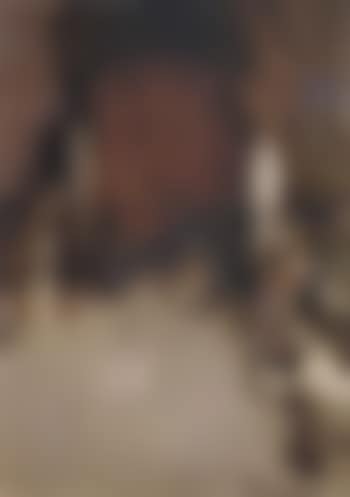 Cock fight (preview)