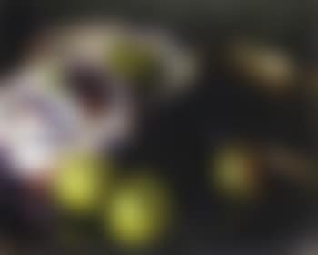 Still life with apples (preview)