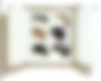 Six store ray guns (preview)