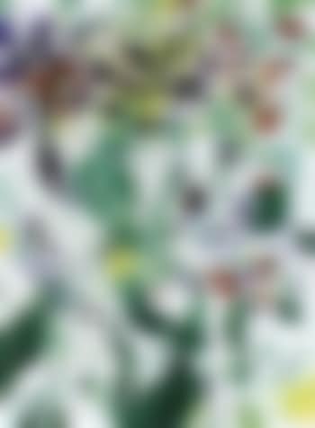 Bouquet (preview)