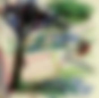 Primrose Hill (preview)