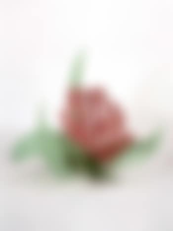 Scribbled tulip (preview)