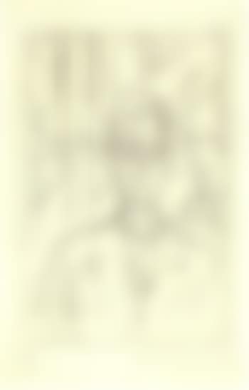 Portrait of Andre du Bouchet IV (preview)