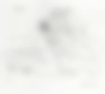 Raphael et la Fornarina XXIII (preview)