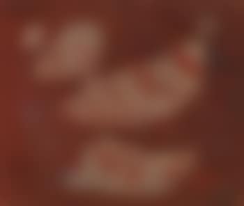 Bison (preview)