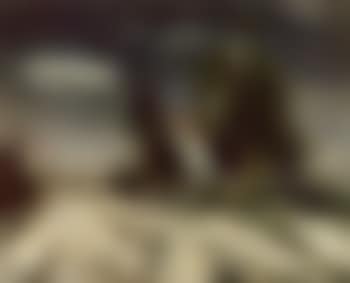 Paysage d'hiver (preview)