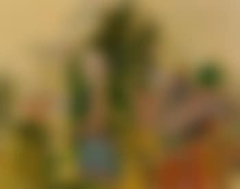 Paysage (preview)