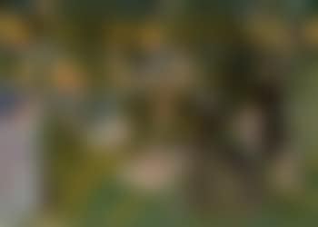 L'Enfant Jesus a la belle verdure (preview)