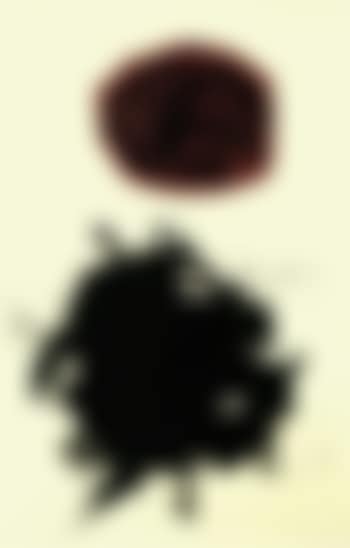 Transfiguration IV (preview)