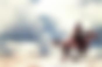 Untitled - Cowboy (preview)