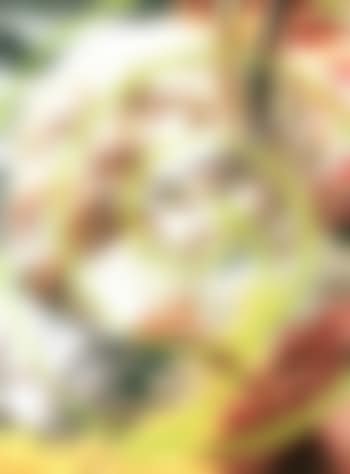 Saint Benedict (preview)