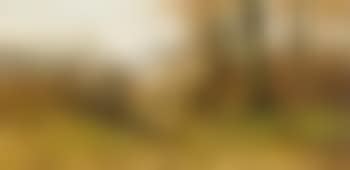 Mallejan in a forest (preview)