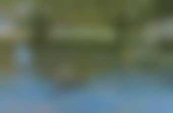 Day on the lake (preview)