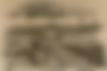 Grazing cows. Farm yard (preview)