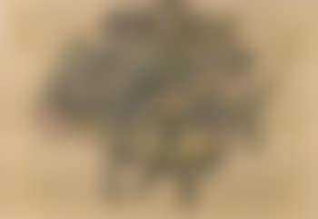 Abstract composition (preview)