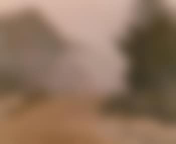 Misty morning (preview)