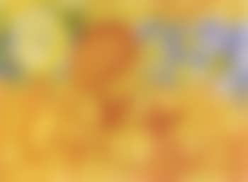 Flowers (preview)