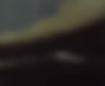 Wave (preview)