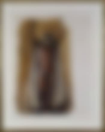 Standing nude with cape (preview)