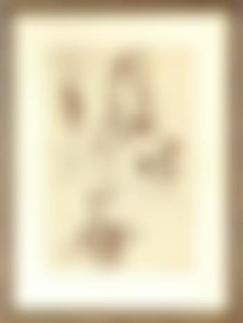 Male nude studies (preview)
