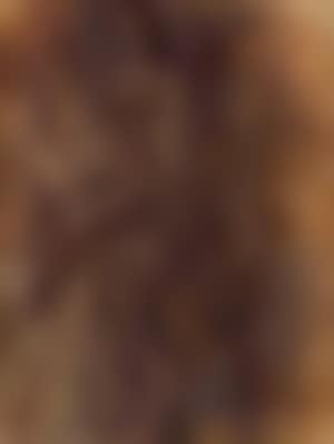 Harvester (preview)