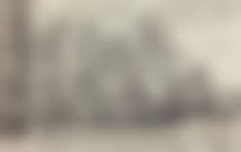 Untitled (preview)