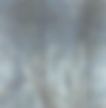Winter motive (preview)