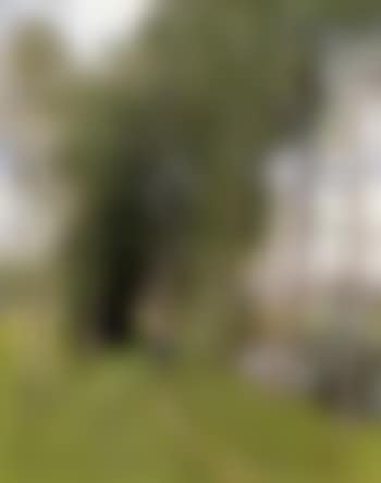 Promenade en foret (preview)