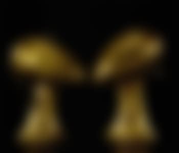 Heads (preview)