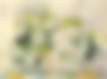Fleurs (preview)