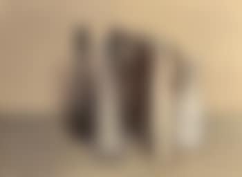 Still life (preview)